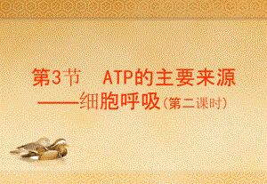 人教版教学课件ATP的主要来源细胞呼吸第2课时.ppt