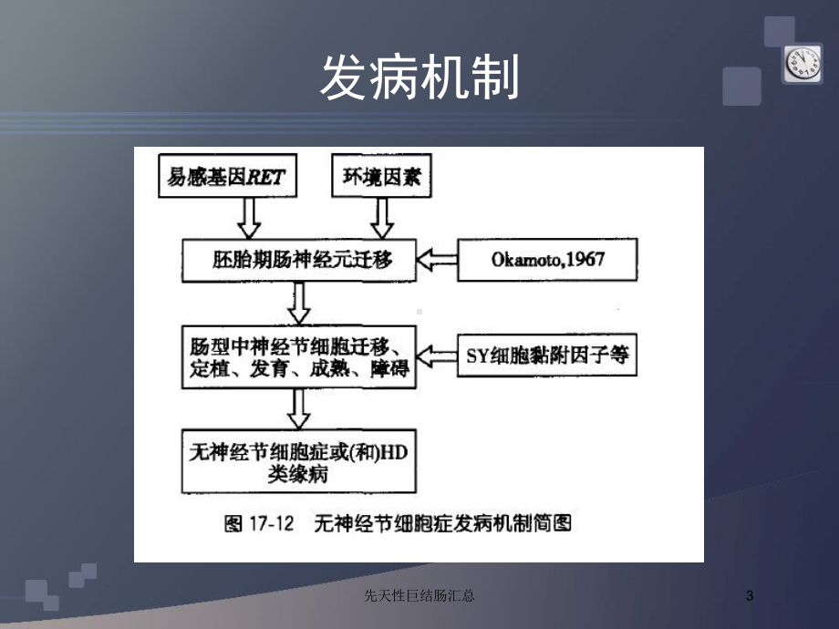 先天性巨结肠汇总培训课件.ppt_第3页