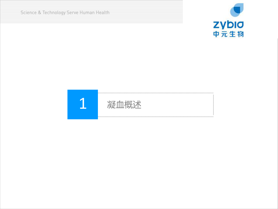 凝血基础知识课件.ppt_第3页