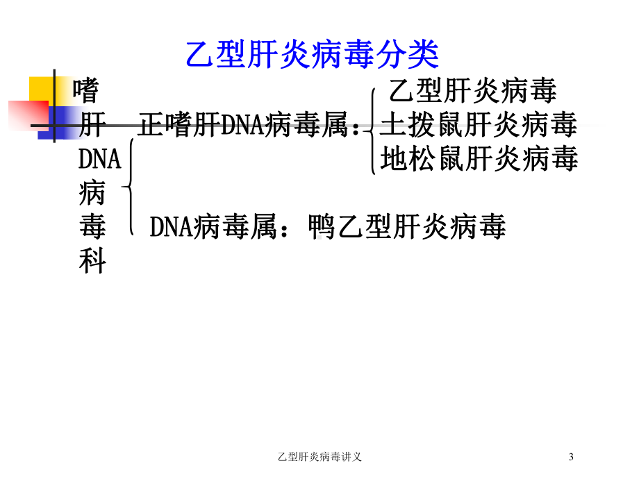 乙型肝炎病毒讲义培训课件.ppt_第3页