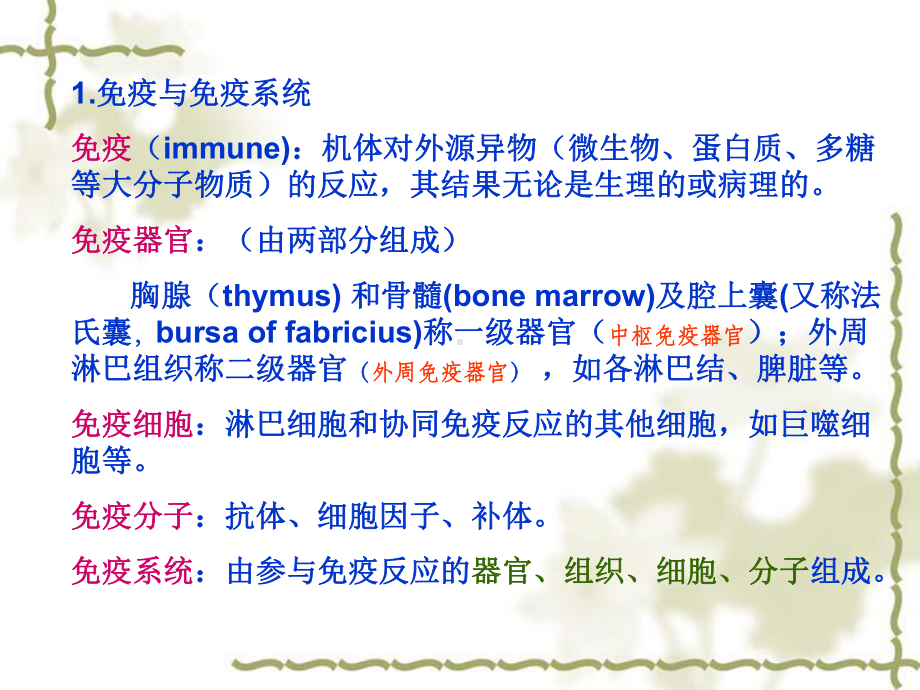 分子免疫学课件(精.ppt_第3页