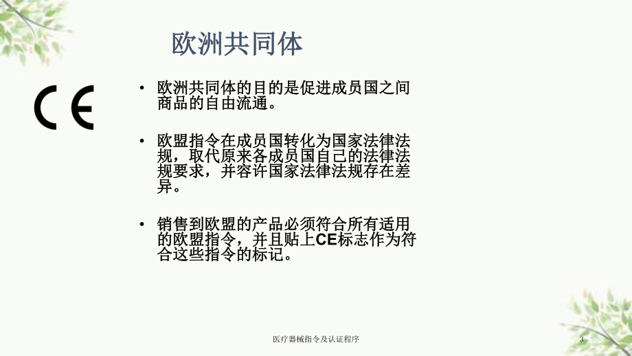 医疗器械指令及认证程序课件.ppt_第3页