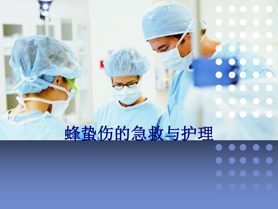 医学蜂蛰伤的急救与护理专题培训课件.ppt_第1页