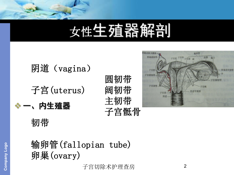 子宫切除术护理查房培训课件.ppt_第2页