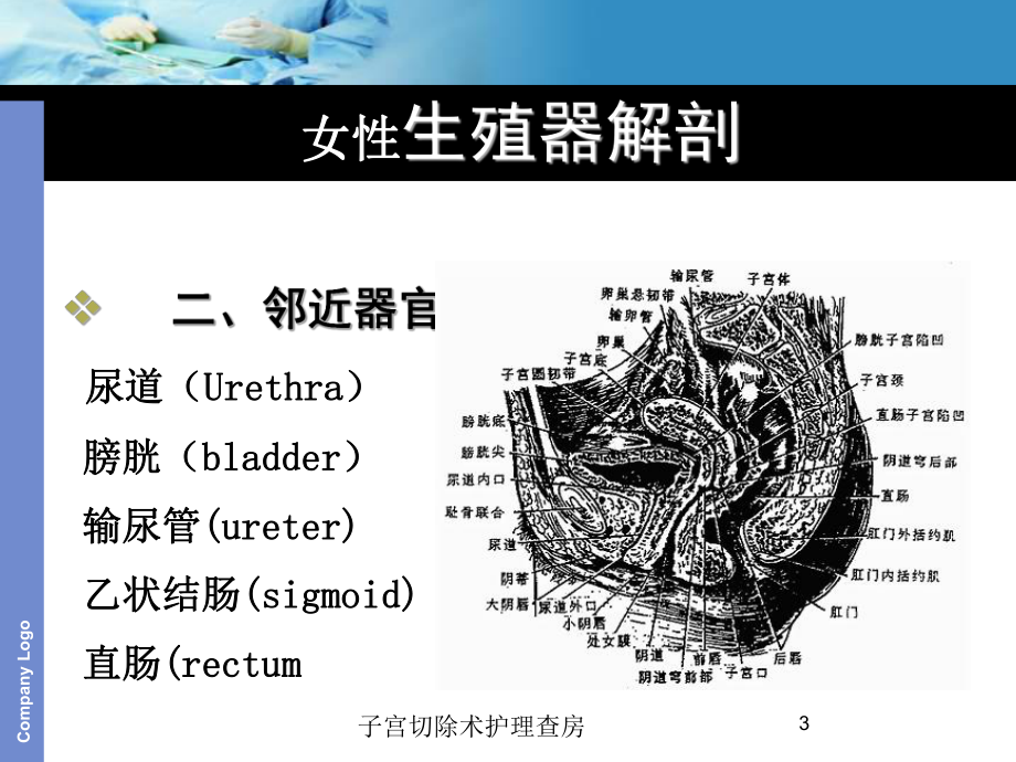 子宫切除术护理查房培训课件.ppt_第3页