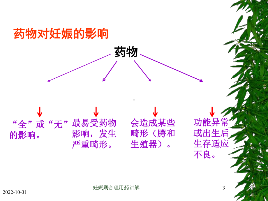 妊娠期合理用药讲解培训课件.ppt_第3页