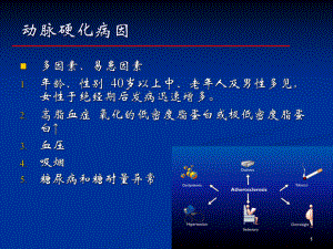 医学课件动脉粥样硬化和冠心病.ppt