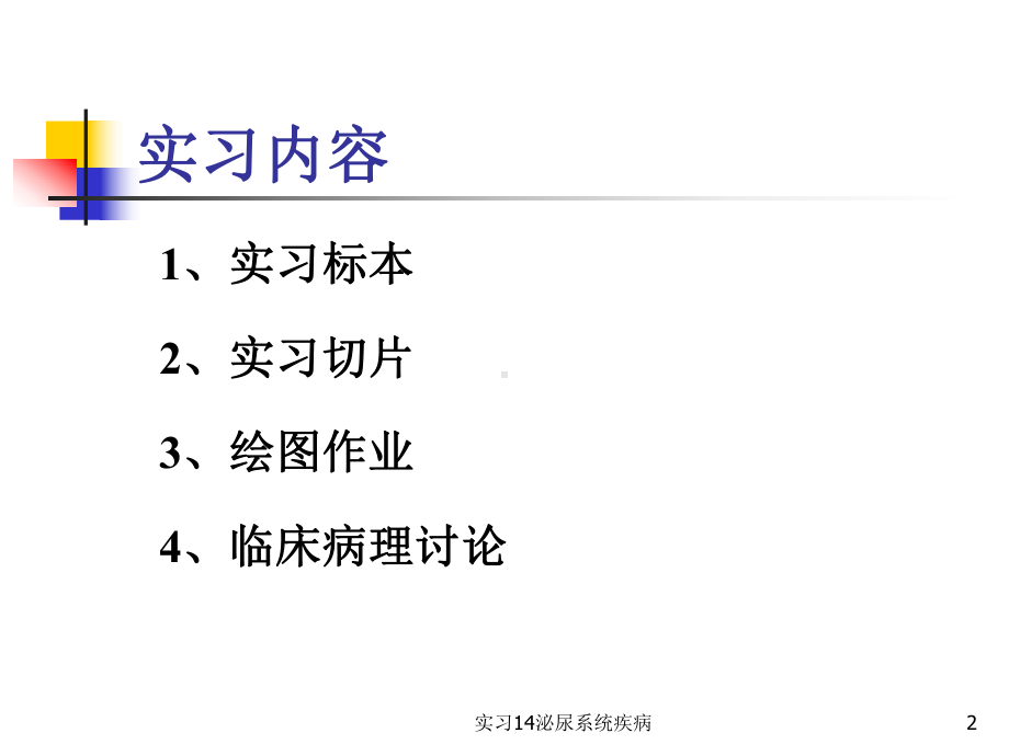 实习14泌尿系统疾病课件.ppt_第2页