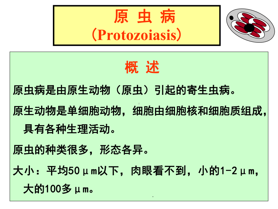 医学课件-禽病学球虫病教学课件.ppt_第1页