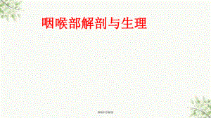 咽喉科学解剖课件.ppt