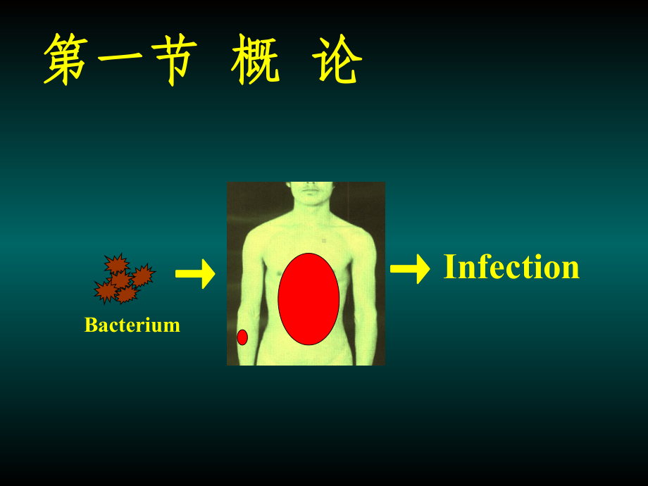 外科感染(新)课件.ppt_第3页