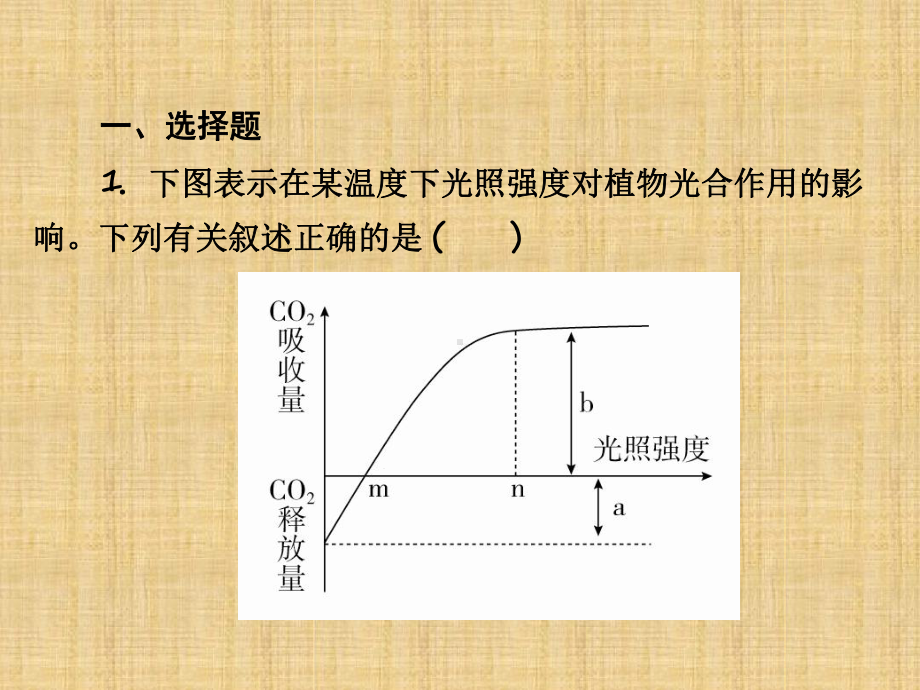 全国版高考生物一轮复习第11讲光合作用和细胞呼吸的关系及影响因素习题名师课件.ppt_第2页