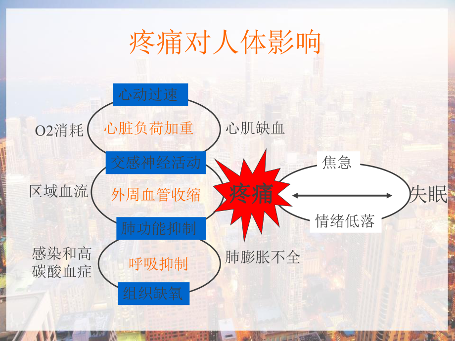 围手术期患者疼痛管理-课件.ppt_第3页