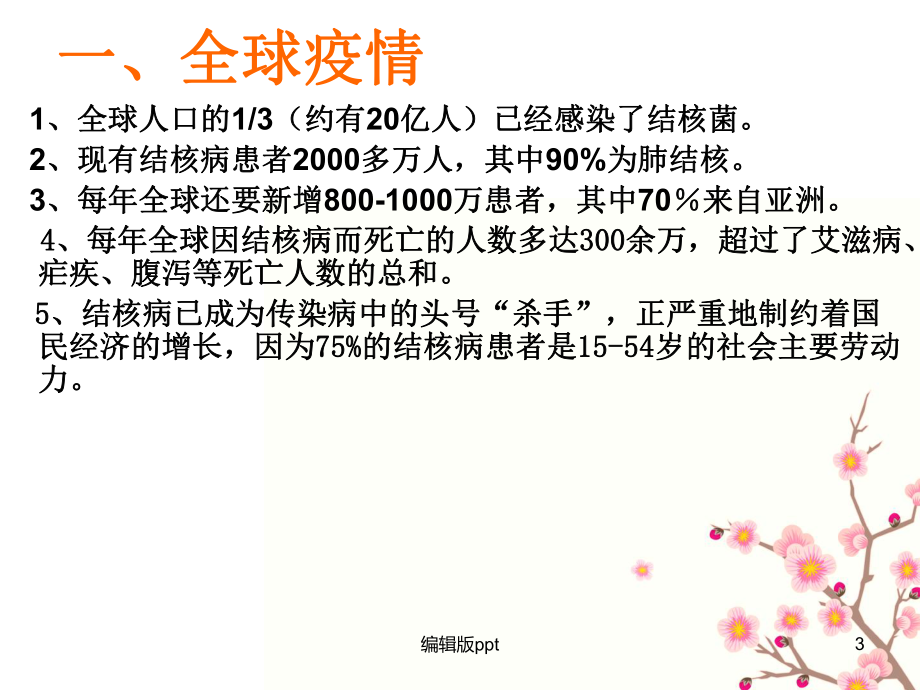 全球疫情结核病课件.ppt_第3页