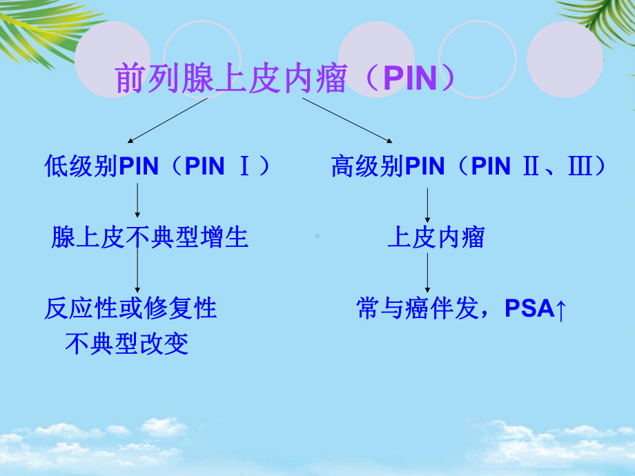 前列腺活检中PIN分级与全面版课件.ppt_第2页