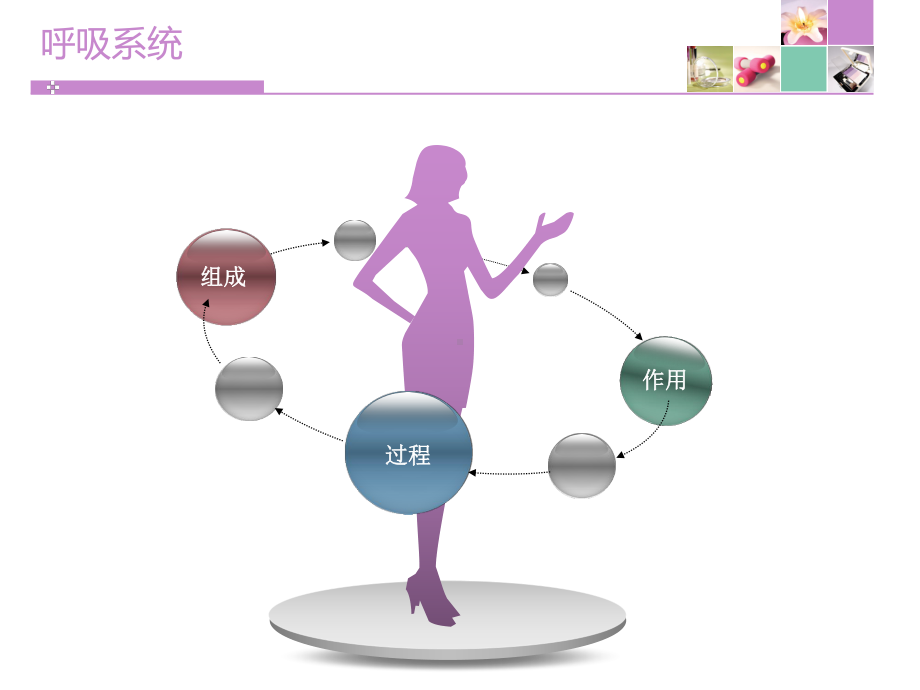 体育锻炼对呼吸系统的影响课件.ppt_第3页