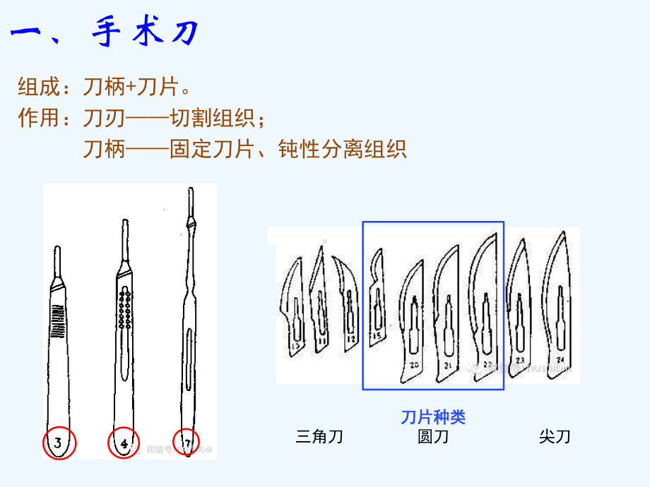 外护实训认识手术器械最全课件.ppt_第3页