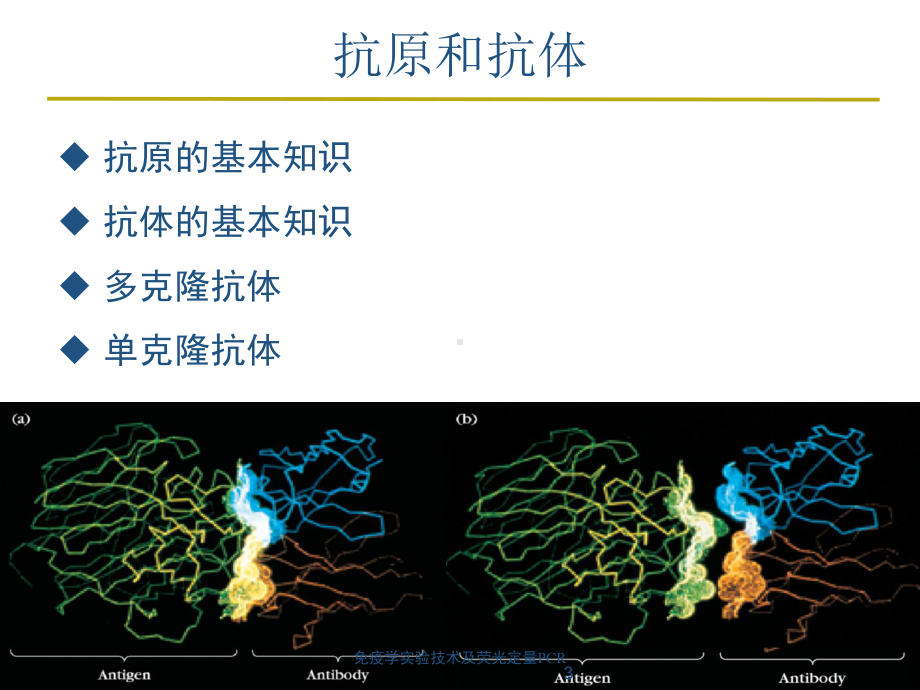 免疫学实验技术及荧光定量PCR培训课件.ppt_第3页