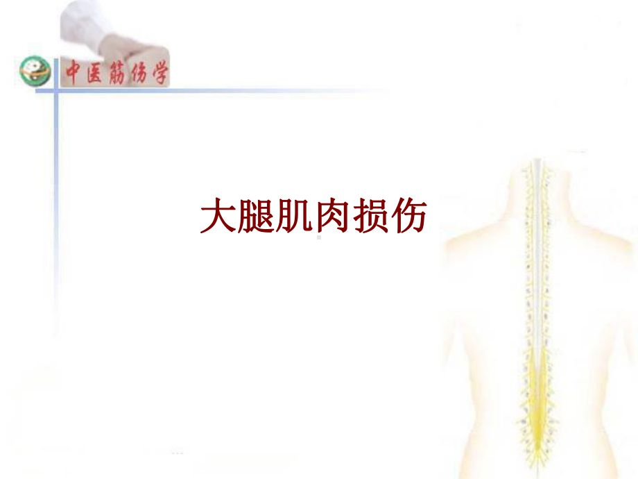 医学大腿肌肉损伤培训课件.ppt_第1页