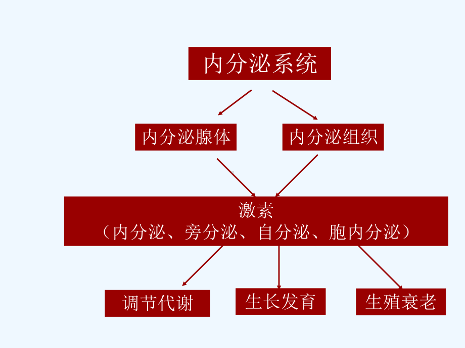 内分泌及代谢疾病与常见症状护理课件.ppt_第2页