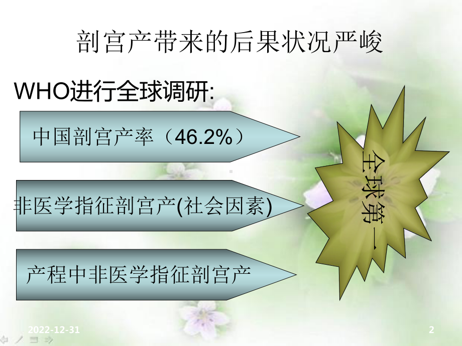 促进自然分娩我们在行动课件.ppt_第2页