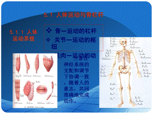 医学课件-骨科人体生物力学与施力特征分析教学课件.ppt