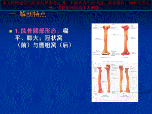 小儿肱骨髁上骨折培训课件.ppt