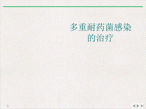 多重耐药菌感染的治疗标准课件.ppt