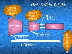 实验心理学-感觉记忆实验课件.ppt