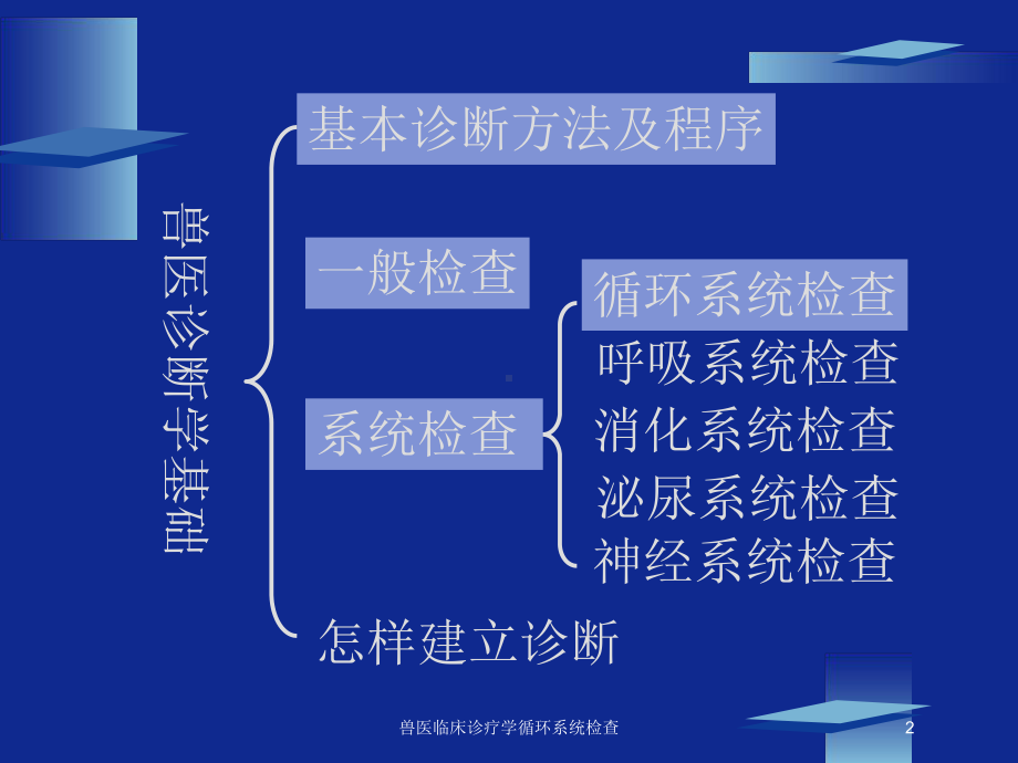 兽医临床诊疗学循环系统检查培训课件.ppt_第2页