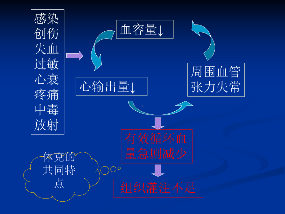 失血性休克的救治课件.pptx_第3页