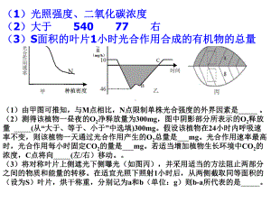 光合作用和呼吸作用专题之氧气和二氧化碳浓度变化课件.pptx