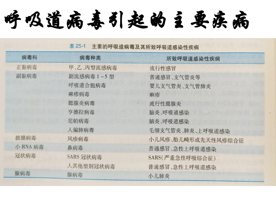 呼吸道病毒完整版本课件.ppt_第2页