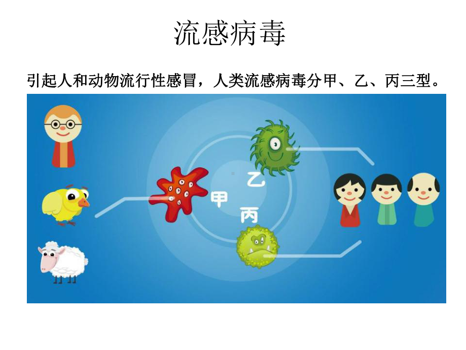 呼吸道病毒完整版本课件.ppt_第3页