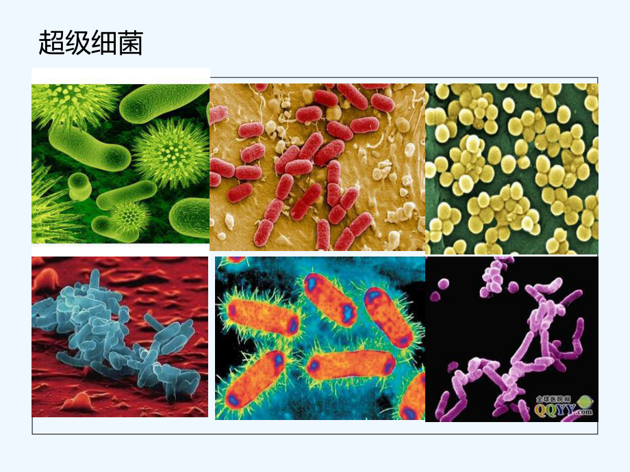 多重耐药菌感染及抗菌药物使用体会课件.ppt_第3页