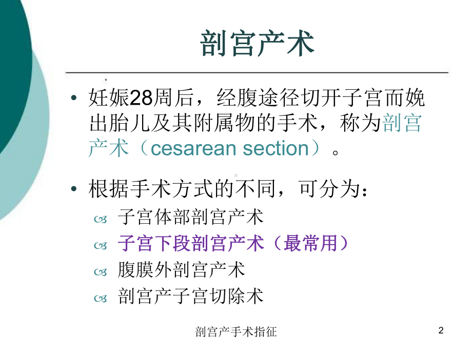 剖宫产手术指征培训课件.ppt_第2页