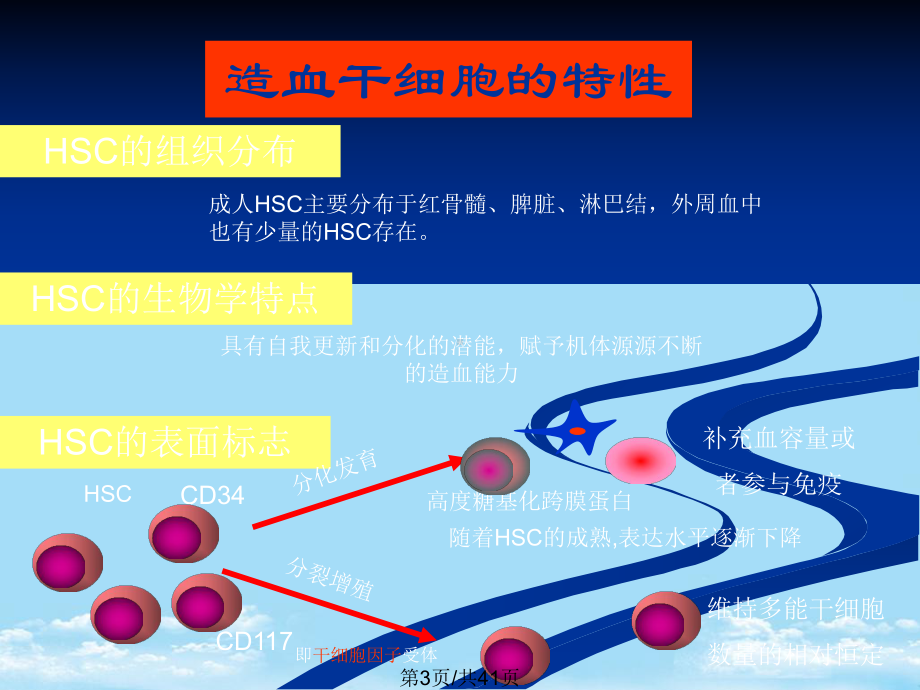 免疫细胞全面版课件.pptx_第3页