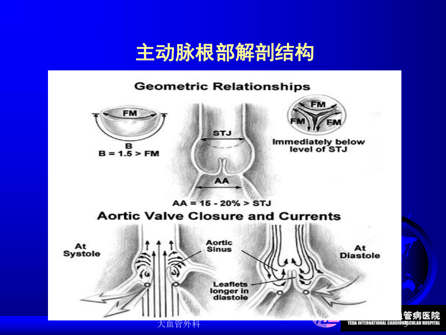 大血管外科课件.ppt_第3页