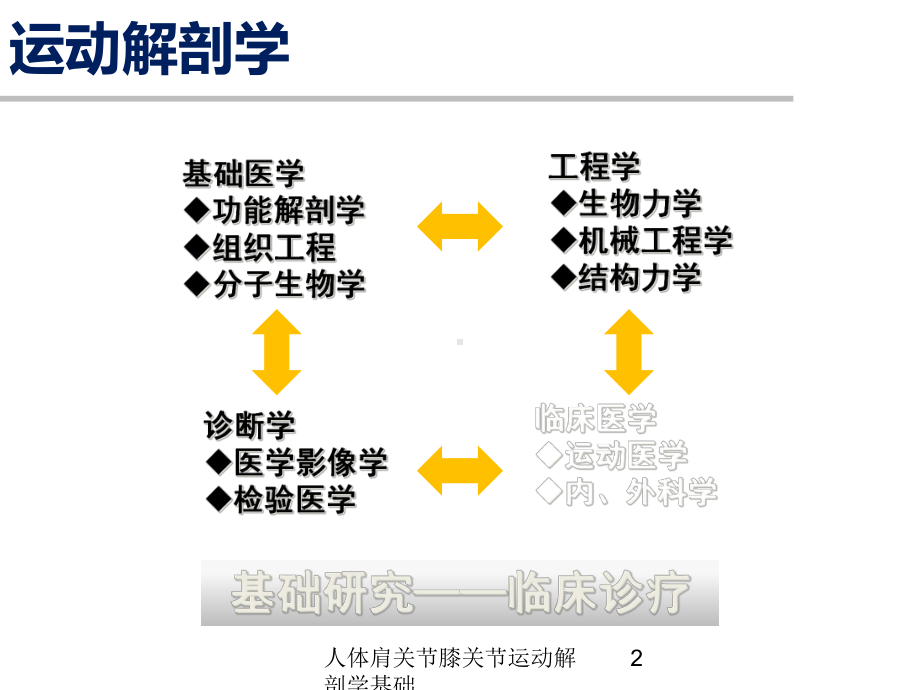 人体肩关节膝关节运动解剖学基础培训课件.ppt_第2页