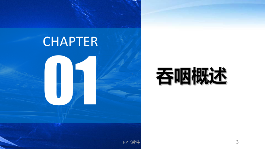 吞咽系统主要解剖知识（康复医学科）-课件.ppt_第3页