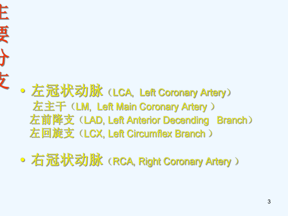 冠状动脉解剖与介入课件.ppt_第3页