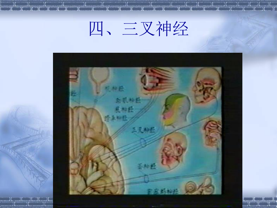 医学课件神经系统定位诊断材料.ppt_第3页