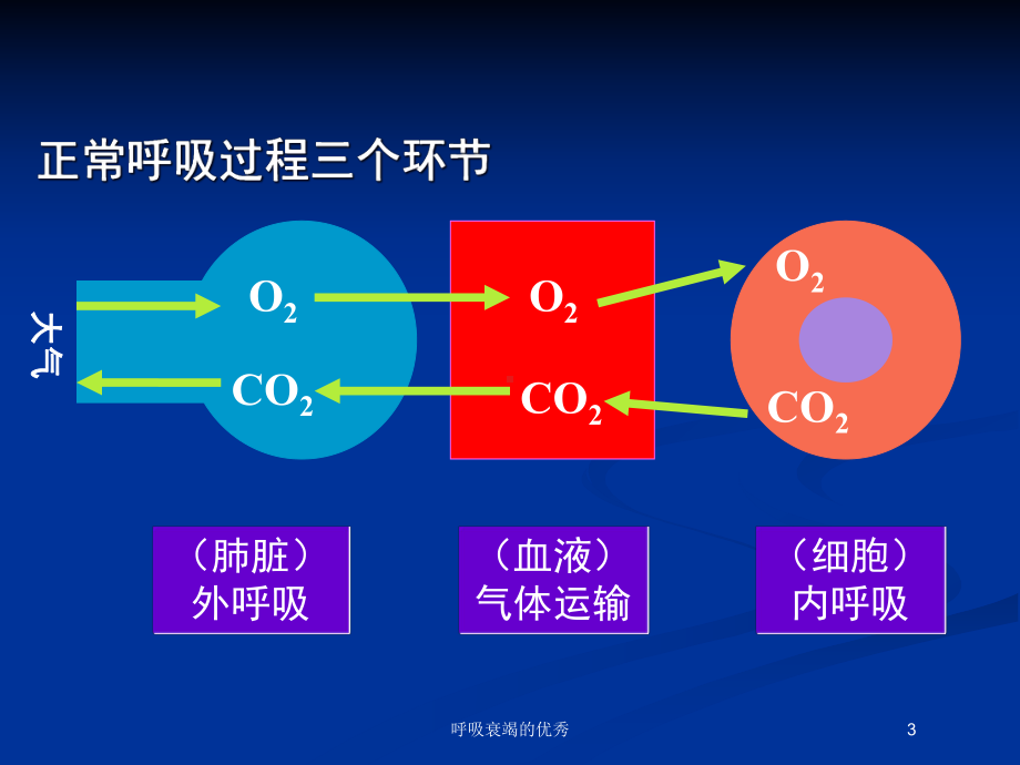 呼吸衰竭的优秀培训课件.ppt_第3页