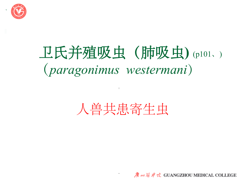 寄生虫肺吸虫课件.ppt_第3页