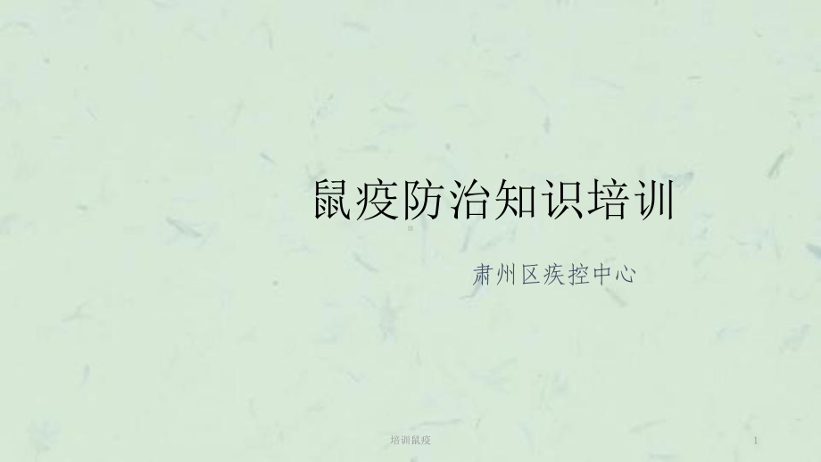 培训鼠疫课件.ppt_第1页