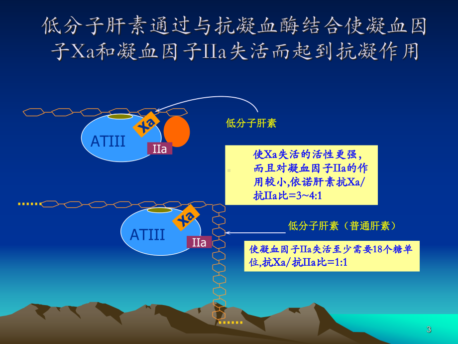 低分子肝素是不同的课件.pptx_第3页