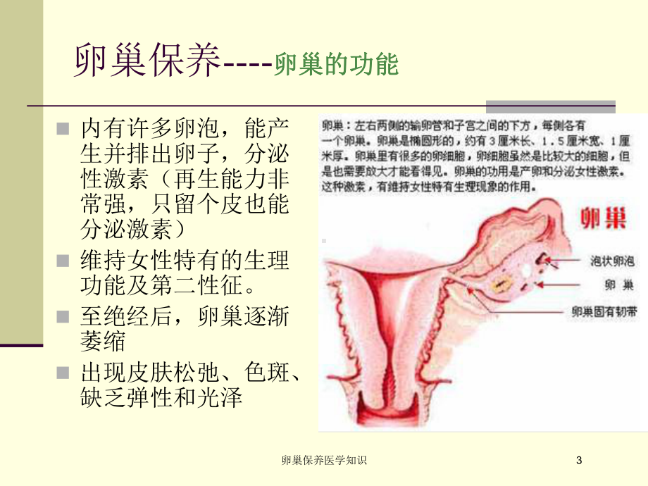 卵巢保养医学知识培训课件.ppt_第3页