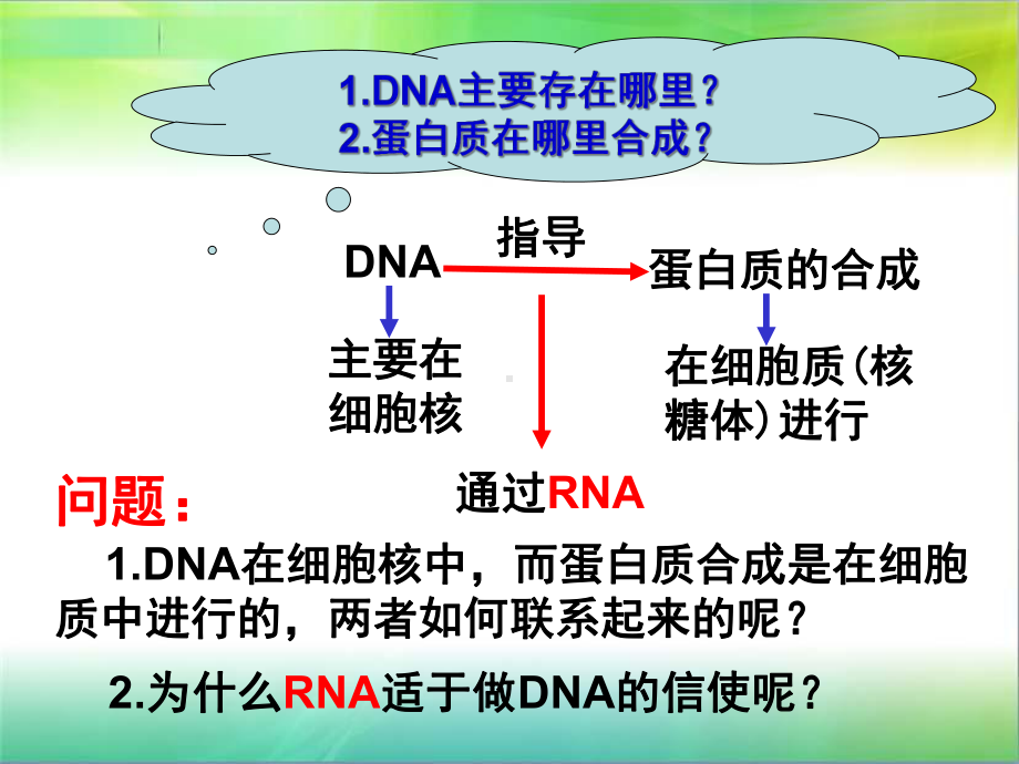 基因指导蛋白质的合成(动画)课件.ppt_第3页