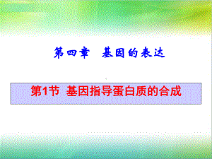 基因指导蛋白质的合成(动画)课件.ppt