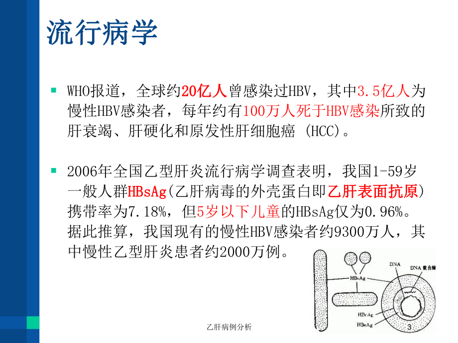 乙肝病例分析培训课件.ppt_第3页